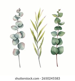 Un ensemble d'Images vectorielles polyvalent de branches d'eucalyptus avec une texture à l'aquarelle réaliste. Isolé et évolutif, avec une palette de roses rustiques vertes et poussiéreuses.
