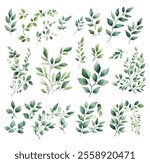 A versatile watercolor collection featuring green leaves and delicate branches, ideal for botanical designs, invitations, and decor projects.

