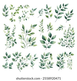 A versatile watercolor collection featuring green leaves and delicate branches, ideal for botanical designs, invitations, and decor projects.
