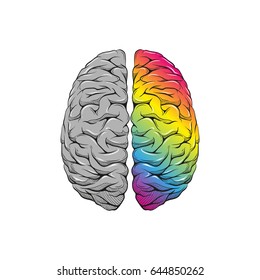 Versus letters human brain right and left hemisphere illustration. Creative concept vector design. 