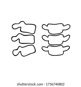 vertebrae doodle icon, vector illustration