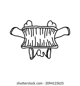 The vertebrae of the human spine. Drawn by lines on white background. Vector Stock illustration.