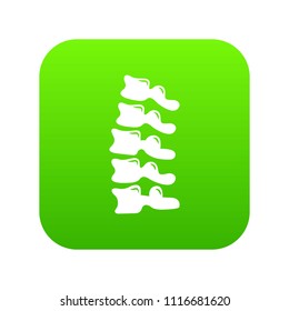 Vertebrae icon. Simple illustration of vertebrae vector icon for web.