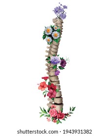 Vertebral Column illustration with flowers for decoration. Artwork