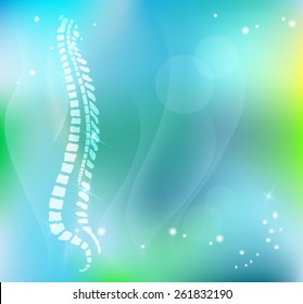 Vertebral Column On Beautiful Light Blue Stock Vector (Royalty Free ...