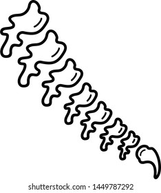 The Vertebral Column: Vertebrates  serial connection and tailbone icon in outline style