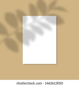 Vertical A4 Paper Mockup with realistic shadows overlays leaf. Vector Shadow Of A Tropical Plant. Template Flyer, Poster, blank in a modern style