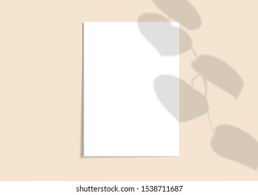 	
Vertical A4 paper. Mockup with realistic shadows overlays leaf. Vector shadow of a plant on a pink background in a modern minimalist style. Template flyer, poster, blank, logo, invitation