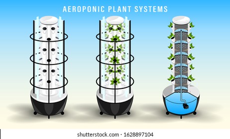 Vertical aeroponic plant growth system. Vegetables and grass growing in nutrient flow system with water in greenhouse without soil. Sectional view. Realistic detailed 3d vector, illustration.