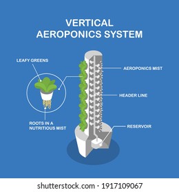 Vertical aeroponic system for growing plants without soil. Vegetables and grasses growing in the water flow system. Sectional view of the unit. Isometric infographics.