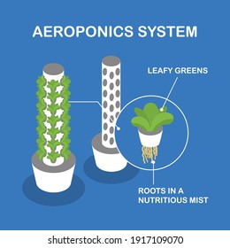 Vertical aeroponic system for growing plants without soil. Vegetables and grasses growing in the water flow system. Plant type with and without plants. Isometric infographics.