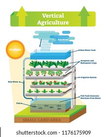 Vertical agriculture environment scheme vector illustration. Sustainable fish with rain water, soil, aeroponic, hydroponic crops, irrigation system and waste nutrients.