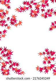 Vertical autumn frame  with red leaves on Japanese maple branches. Vector minimalistic background. 