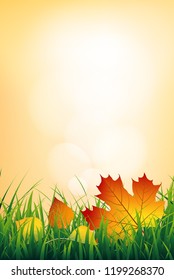 Vertical autumn layout with colorful autumn leaves fallen on green grass and free space for text. Fall background vector illustration