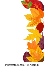 vertical background with autumn leaves. vector