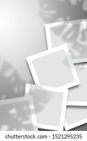 Vertical background for stories and galleries. Cards and photos with a shadow from the Monstera plant