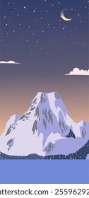 Vertical background winter night  illustration