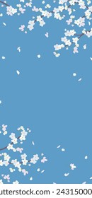 Vertical banner with cherry blossom branches. Vector sakura in a flat style. Spring design for greeting cards. Delicate flowers isolated on a blue background.
