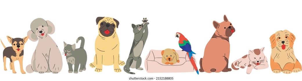 Vertical banner with cute domestic pets group portrait. Happy doggies, puppies, cats and parrot posing together. Funny canine animals gang with Poodle, Pug, Chihuahua, Border Collie, French Bulldog. 