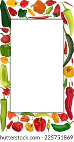 Banner vertical con diferentes tipos de pimientos. Pimientos dulces. Pimientos de chile calientes, leves y medianos. Pimientos muy calientes. Verduras. Ilustración vectorial aislada en fondo blanco. Plantilla.