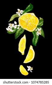 Vertical banner image with juicy half of citrus, lemon and orange slices, orange fruit and branches with leaves and flowers on the black background