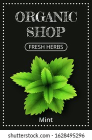 Vertical banner with a realistic mint on coated chalk background. Fresh herbs, popular culinary plants, natural health care. Template for products, web banners and leaflets. Vector
