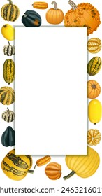 Vertical banner with types of winter squash. Cucurbita pepo. Cucurbitaceae. Fruits and vegetables. Isolated vector illustration. Template.