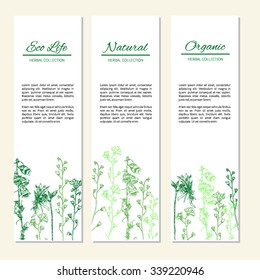Vertical banners with flowers and herbs, Hand drawn vector illustration isolated on white, herbal sketch, Design label for packaging cosmetic, beauty salon, natural organic product, greeting card
