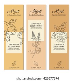 Vertical banners with hand drawn sketch mint leaves, peppermint branch flowers, isolated, Natural cooking doodle spicy ingredients, Vector botanical illustration, Healing herb for cosmetics, tea