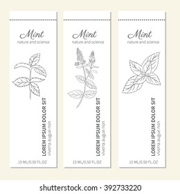 Vertical banners with mint leaves, peppermint branch, flowers isolated on white background, vector frame with space for text, Design for cosmetic, beauty salon,natural and organic product, tea