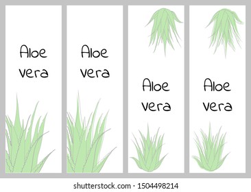Vertical banners template with aloe vera plants. Isolated vector illustration with green stains on white background