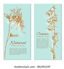 Vertical banners with wild flower, hand drawn ink sketch, Vector illustration isolated on blue background, Decorative floral frame, design for card,cosmetic, beauty salon,natural organic product label