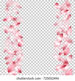 Vertical border of flying petals isolated on transparent grid invitation background, flower parts wedding decorative frame. Pink blossom elements, flower petals valentines day background border.