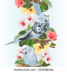 Vertical border seamless background bird Budgerigar, home pet ,blue pet parakeet  on a branch bouquet with tropical flowers hibiscus, palm,philodendron vintage vector illustration editable hand draw
