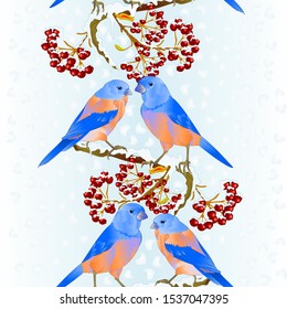 Vertical border seamless background birds Bluebirds  thrush small songbirdon on  snowy tree and berry winter background vintage vector illustration editable hand draw
