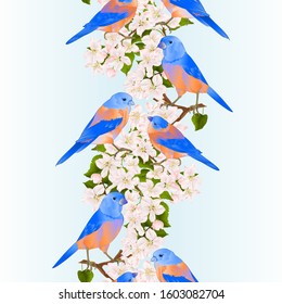 Vertical border seamless background bluebirds  thrush small bird on an apple tree branch with flowers spring background vintage vector illustration editable hand draw