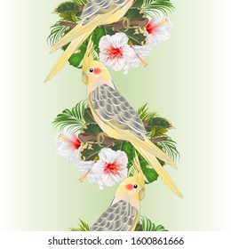 Vertical border seamless background funny  parrot yellow cockatiel cute tropical bird  and white hibiscus watercolor style on a green background vintage vector illustration editable hand draw
