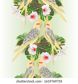 Vertical border seamless background   parrots yellow cockatiel cute tropical bird  and white hibiscus watercolor style on a green background vintage vector illustration editable hand draw