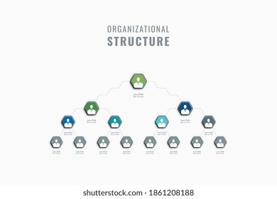 Vertical business hierarchy of the company template. Multicolor hexagonal elements with person symbols, names and job positions on a white background. Vector organizational structure. Eps 10