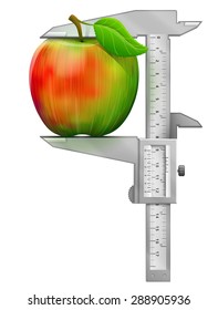 Vertical caliper measures apple fruit. Concept of apple and measuring tool. Qualitative vector illustration about apple, agriculture, fruits, cooking, gastronomy, etc