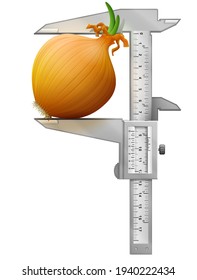 Vertical caliper measures common onion. Concept of shallot bulb and measuring tool