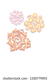 Vertical card with gentle succulents cut out of paper in pastel color with a top view on white background. Vector template for invitation, banner and your creativity