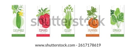 Vertical Cards or Banners Original Design with Fresh Vegetable Vector Set