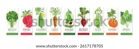 Vertical Cards or Banners Original Design with Fresh Vegetable Vector Set
