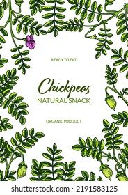  Vertical chickpeas design. Hand drawn illustration in colored sketch style. Botany design for packaging, label, banner, poster