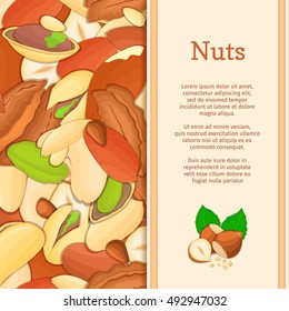 Vertical colored frame composed of different nuts brazil, cashew, peanut, pecan, pine, pistachio. Vector card illustration. Nuts frame with place for your text for packaging design element