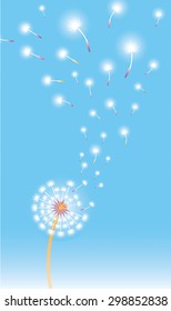 Vertical composition with dandelions in blossom