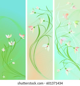 Vertical delicate beautiful cards with flowers .Spring  pastel green background. Vector set of 3.