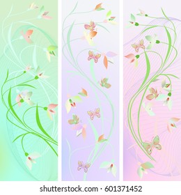 Vertical delicate beautiful cards with flowers and butterflies .Spring  pastel green and pink background. Vector set of 3.