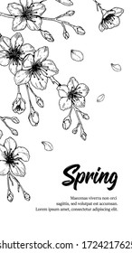Diseño vertical con flor de cerezo de resorte dibujado a mano en estilo boceto. Diseño primaveral para historias en medios sociales, tarjetas, pancartas, cartas, invitaciones. Lugar del texto